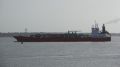 Pertusola - estuaire - 26 janvier 2013 (06).JPG